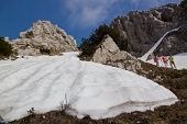 32_lingua di neve
